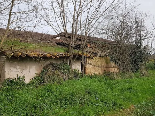 Terrain 557 m²