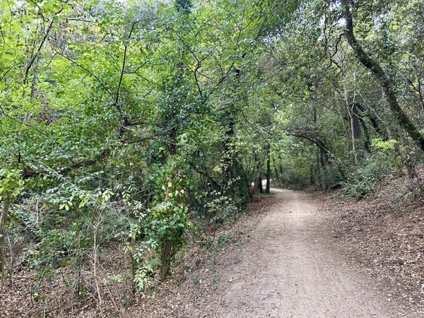 Terrain 455 m²