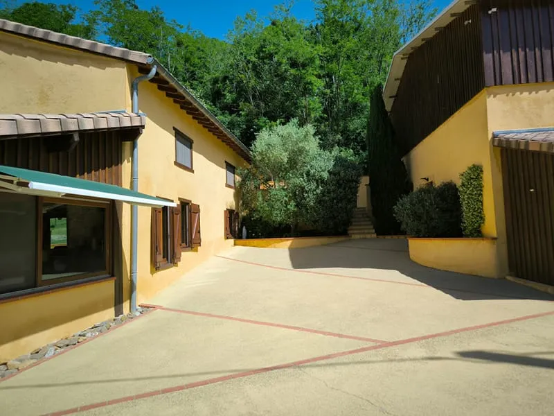 Photo 11