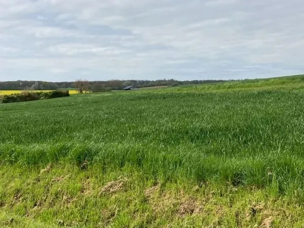 Terrain 2898 m²