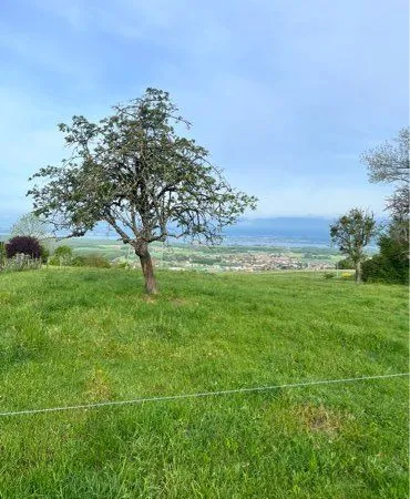 Bâtisse à rénover ou terrain constructible
