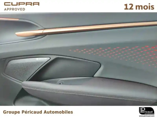Cupra Terramar 1.5 ehybrid 272 ch dsg6 — photo 12