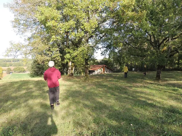 Propriété 2,5ha - maison cadastrée + dépendances/cabanes