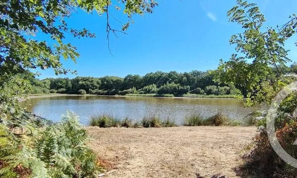 Terrain 80690 m²