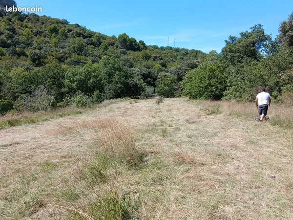 Terrain agricole