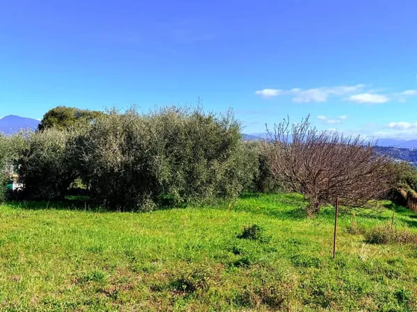 Terrain 856 m²
