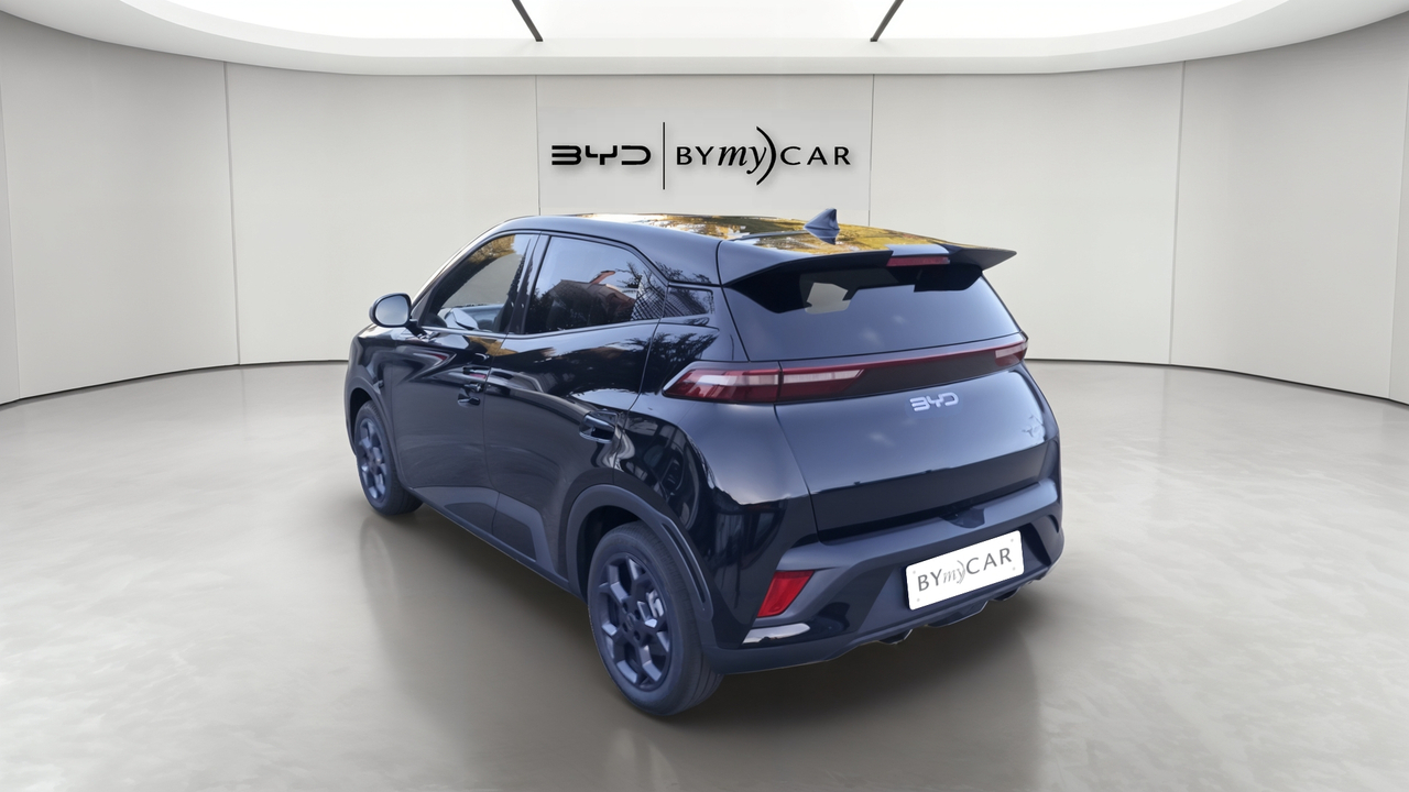 BYD Dolphin Surf 43.2 kWh 156 ch — photo 3