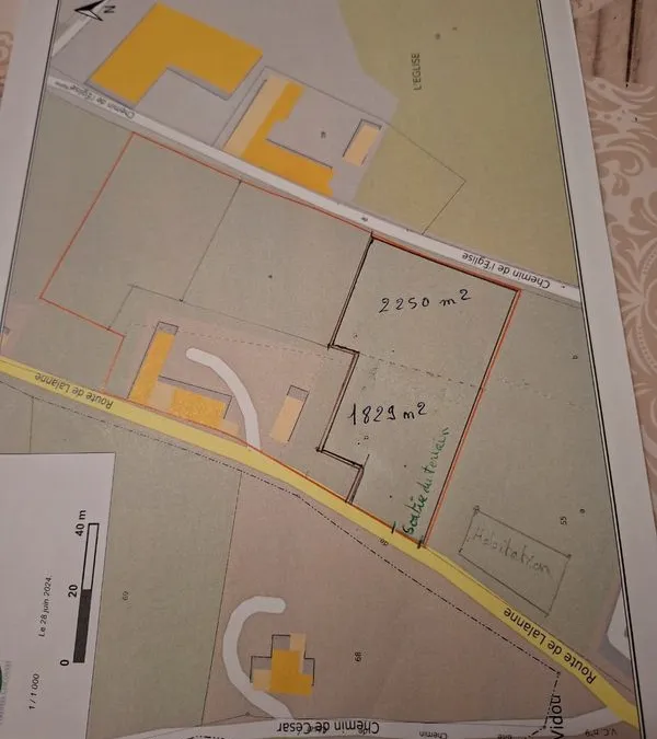 Photo 3