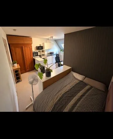 Studio 20m2