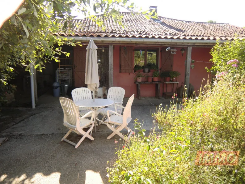 Photo 5