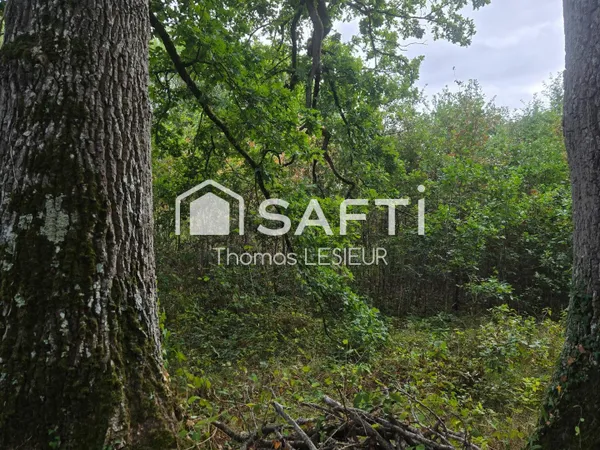 Terrain Vente Pré-en-Pail-Saint-Samson  12460m² 19500€
