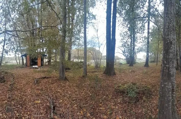 TERRAIN boisé constructible