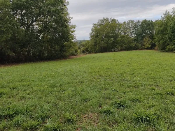 Terrain à bâtir Vente Saint-Pierre-d'Eyraud 1655m² 29800€