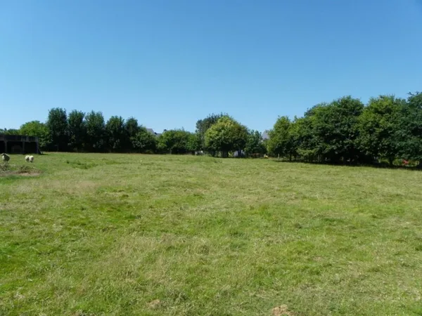 Terrain 707 m²
