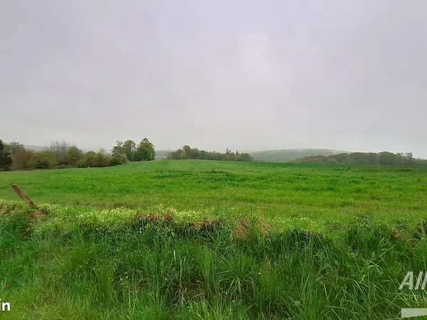 Terrain 3000 m² Courcelles
