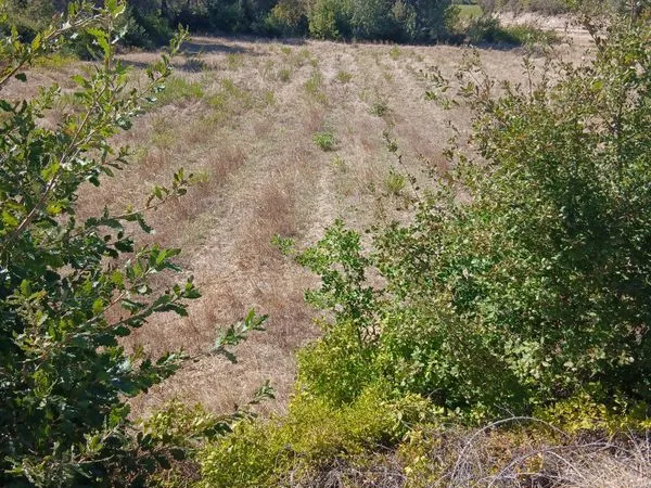Terrain agricole