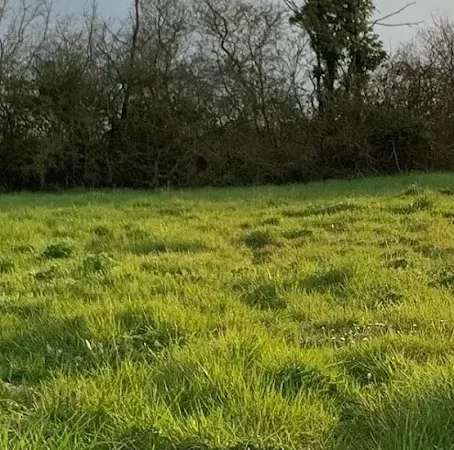 Terrain 655 m²