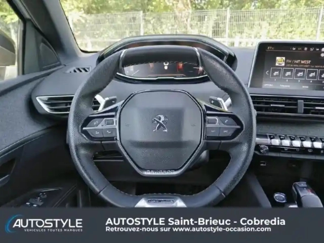 Peugeot 3008 1.5 bluehdi 130ch e6.c gt line s&amp;s eat8 — photo 15