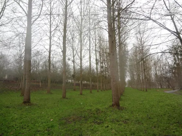 Terrain 5130 m²