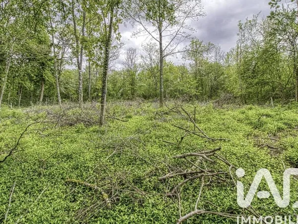 Terrain constructible 2024 m²