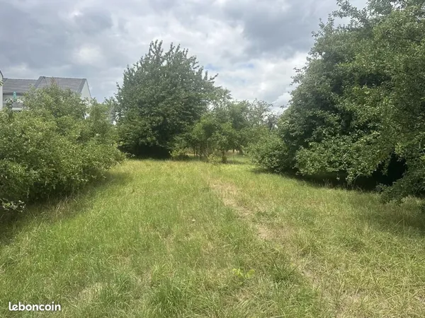 Terrain 1 051 m² Grosbliederstroff