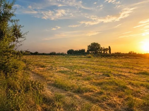 🌴 À 1,5 km de la mer - Terrain agricole et de loisirs 2 856 m² - 10 000
