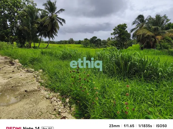 Terrain 1057 m² Petit-Bourg
