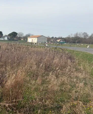 Terrain agricole
