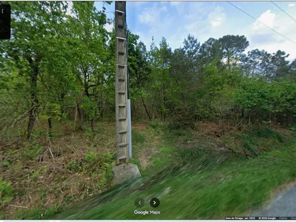 Location 5000m2 foret bois taillis le courtet commequier