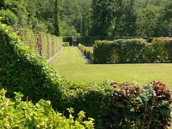 Terrain constructible