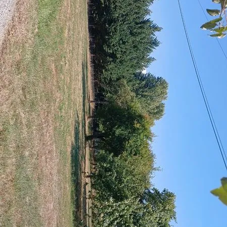 Terrain 3000 m²