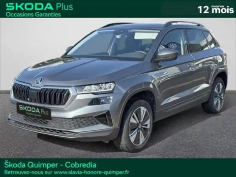 Skoda Karoq 2.0 tdi 116ch scr business dsg7