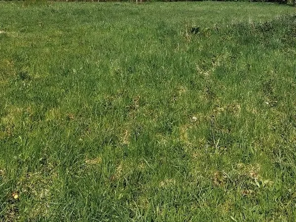 Magnifique terrain de 1 200 m2 Dalhunden