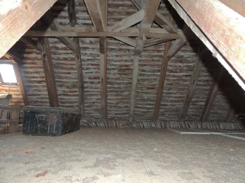 Photo 19