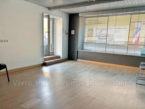 professionnel local commercial