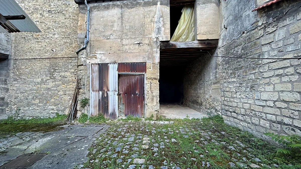 Photo 5