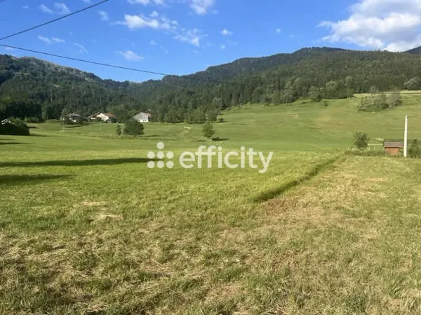 Terrain 3920 m²