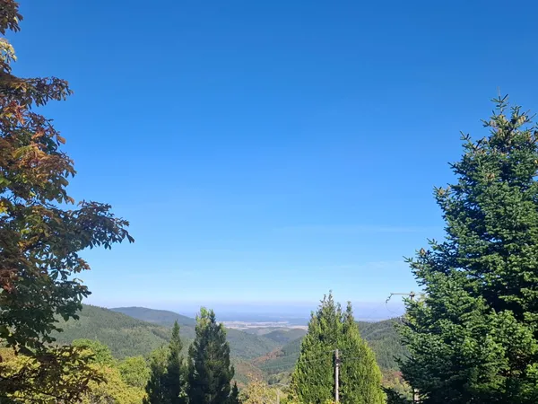 Terrain Labaroche 2366 m2