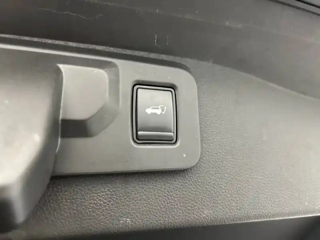 Renault Austral mild hybrid 160 auto — photo 60