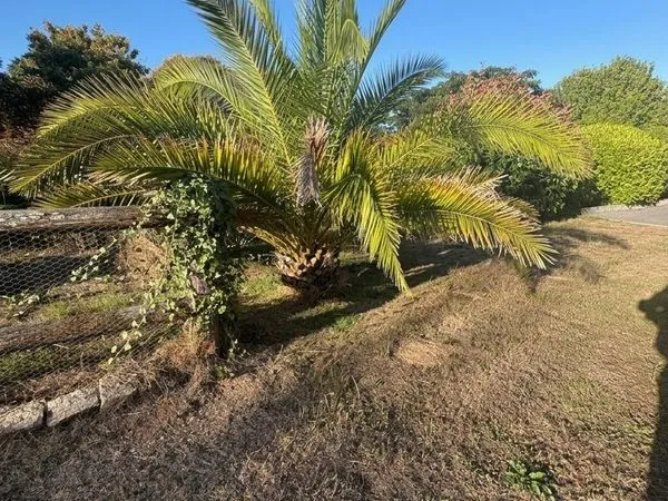 Maison 7 pièces 157 m²