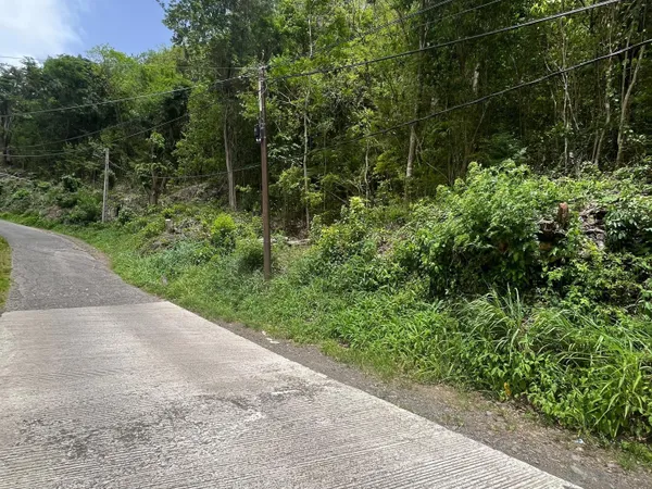 TERRAIN DE 6000m2