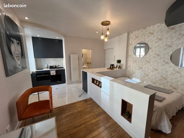 Montplaisir - studio d exception - renovation complete - dpe c