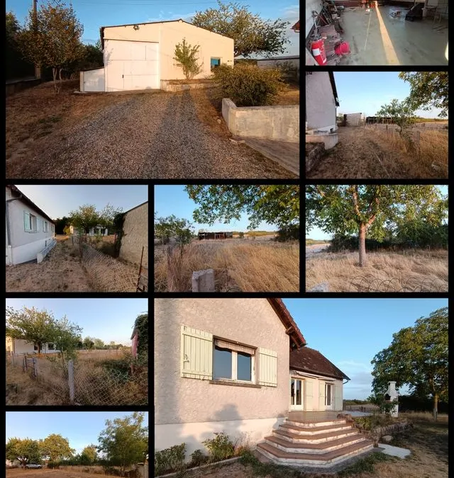 Photo 3