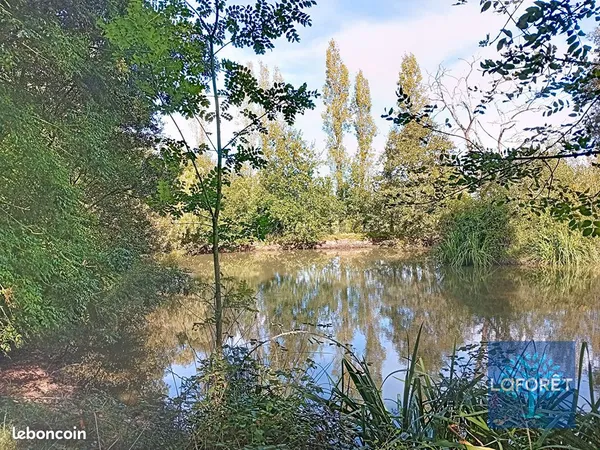 Terrain 4048 m² AIZENAY