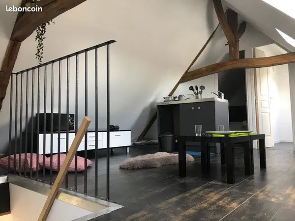 Studio 20m2 monceaux