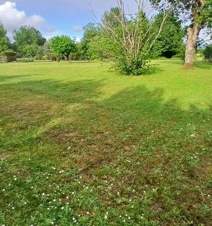 Terrain à vendre -2000m2-Bonzac