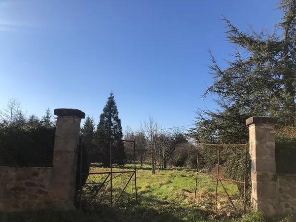 Vends parcelle arborée