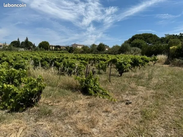 Terrain 729 m² Mazan