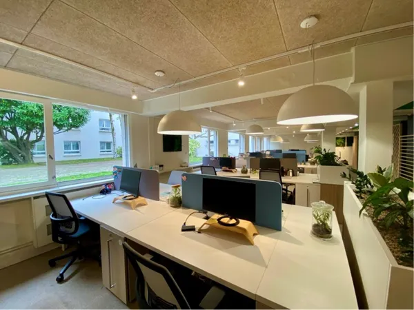 Local professionnel 459 m²