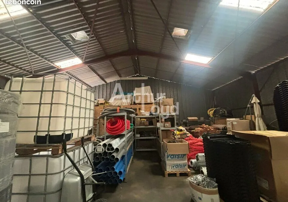 Photo 12